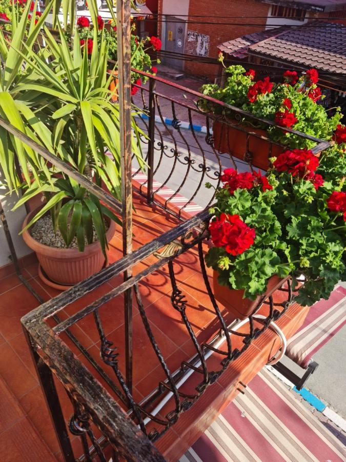 Apartment Casa Dfg *